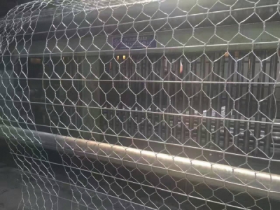  加筋石籠網圖片4